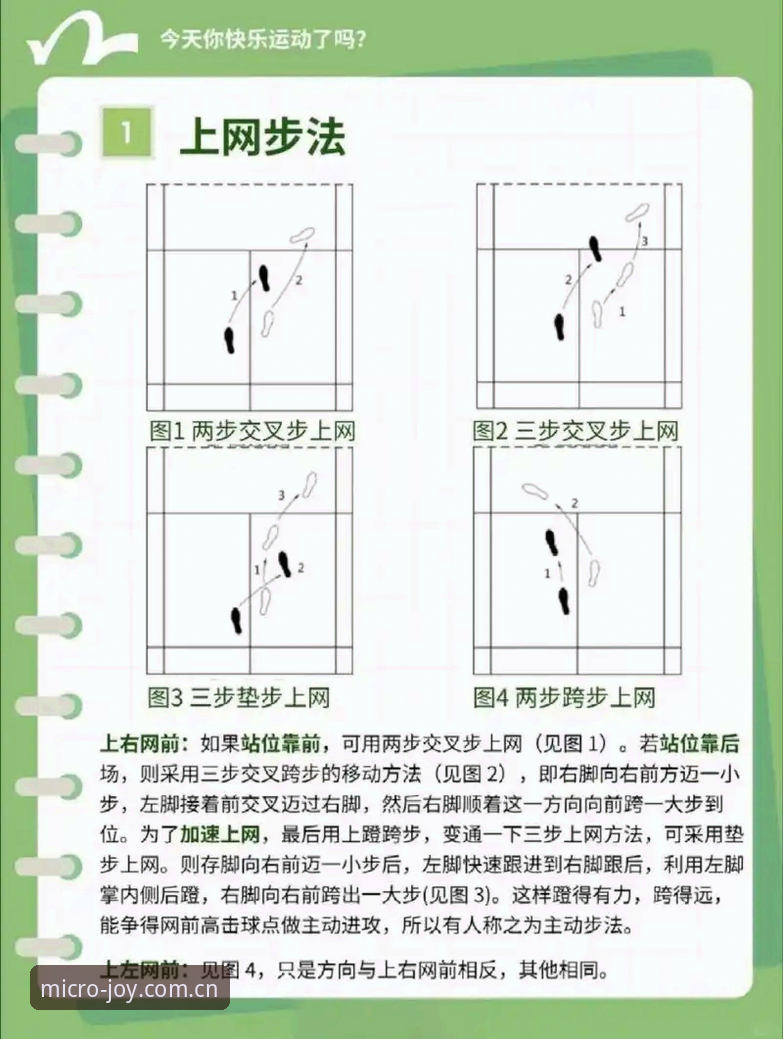 微乐沉浸式互动深度解析：新手如何快速掌握体育平台的核心玩法与操作指南