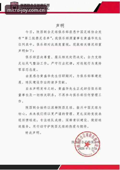 足协第三批禁足名单震撼发布，微乐体育平台深度解读行业乱象最新动态